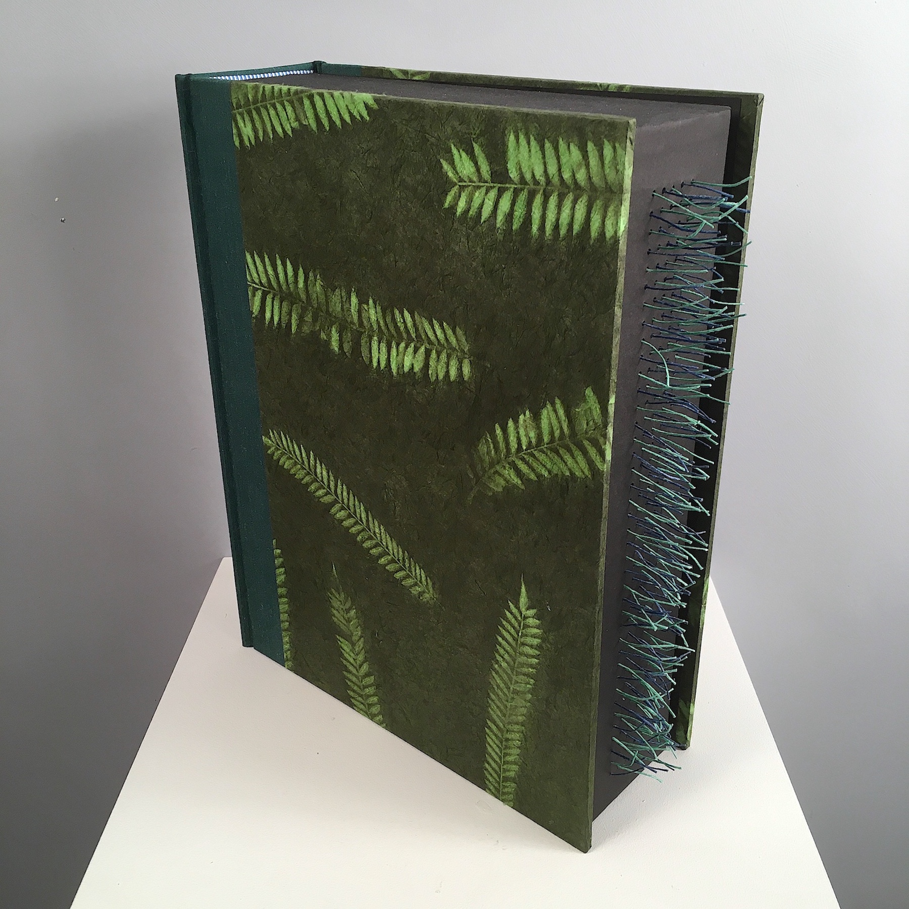 Perry, Chris: 213 Ripples: blue green (algae)