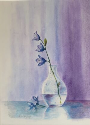 Daignault, Sandra: Balloon flowers