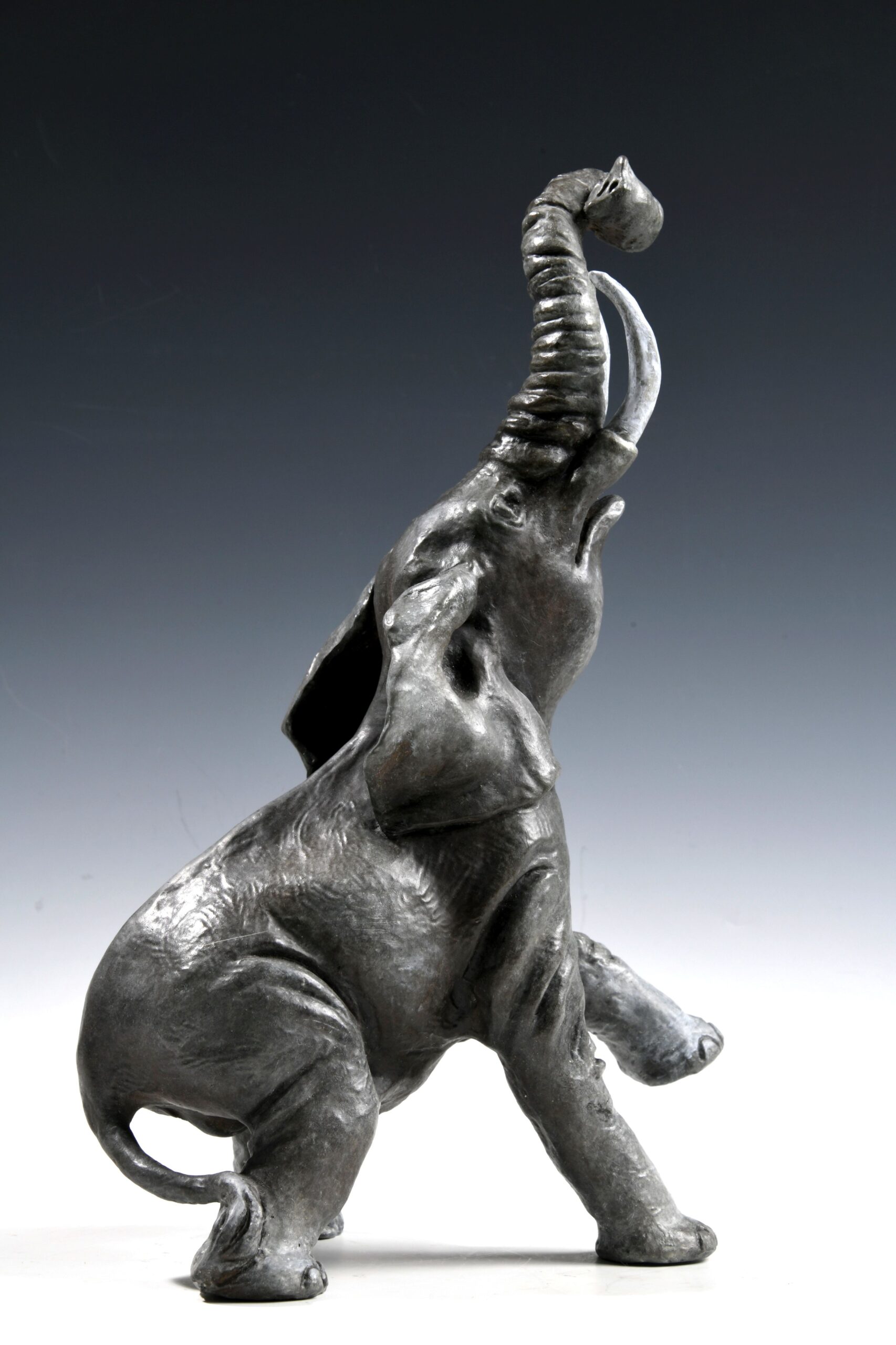 Bates, Serena: An Elephant in the Room