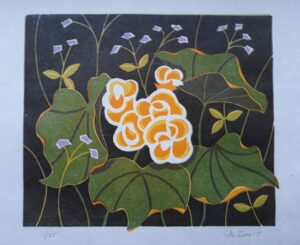 Ives, Martha: Begonia