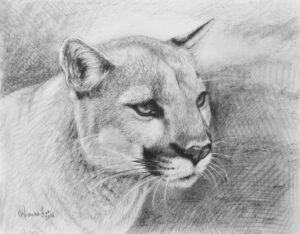 Waterbury-Kwashnak, ShawnaLee: Big Devil