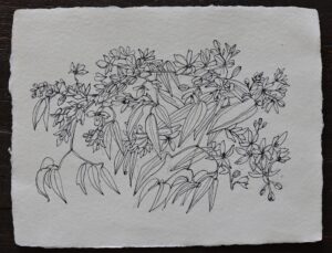 Li, Alexa Eunji: Bouquet #10