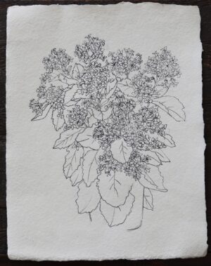 Li, Alexa Eunji: Bouquet #3