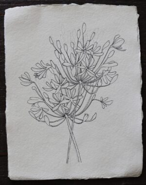 Li, Alexa Eunji: Bouquet #7