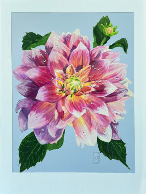 Jasperson, Ann: Dahlia