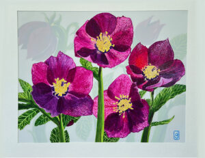 Jasperson, Ann: Hellebores 2