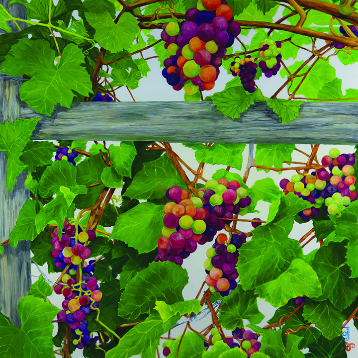 Jasperson, Ann: Orchard Series 2: The Vines