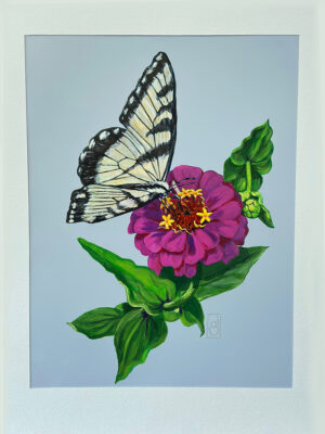 Jasperson, Ann: Zinnia and Butterfly