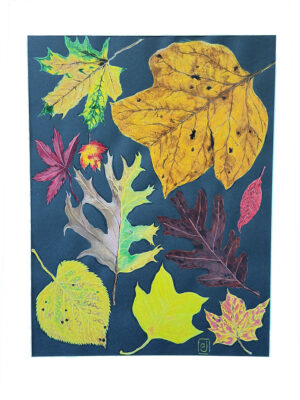 Jasperson, Ann: Street Leaves