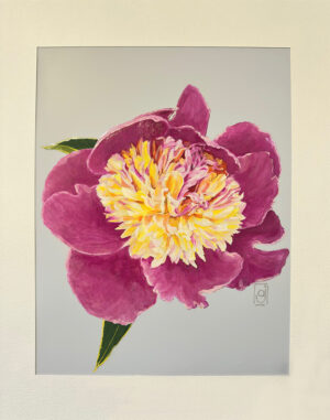 Jasperson, Ann: Peony