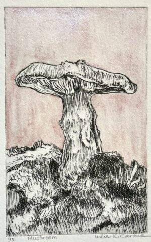 Carone, Leslie: Mushroom