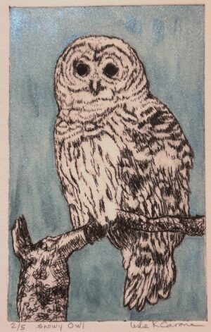 Carone, Leslie: Snowy Owl