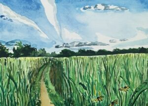 H. Duggan, Caroline: The Field at Couch Hill Preseve