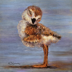 DeSomma, Mally: Forty Winks