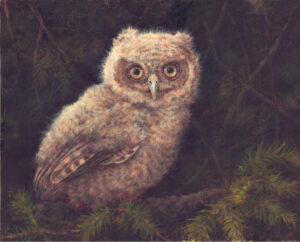 DeSomma, Mally: Hiding in the Pines