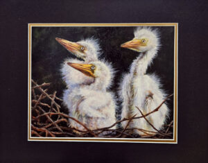 DeSomma, Mally: Jurassic Park II