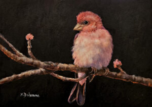 DeSomma, Mally: Pinky