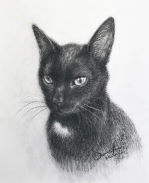 Waterbury-Kwashnak, ShawnaLee: Devils come in black