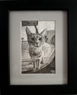 Gianni, Kevin: Cross-Eyed Cat