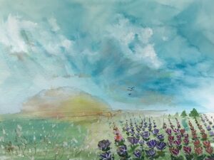 Ham, Helen Rolfe: Edge of Tulips