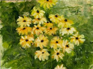 Ham, Helen Rolfe: Blackeyed Susans