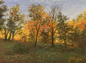 Meyer, Joan: Sun Greeting the Trees