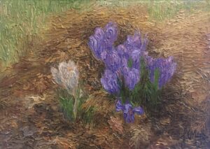 Meyer, Joan: Crocuses in the Leaves