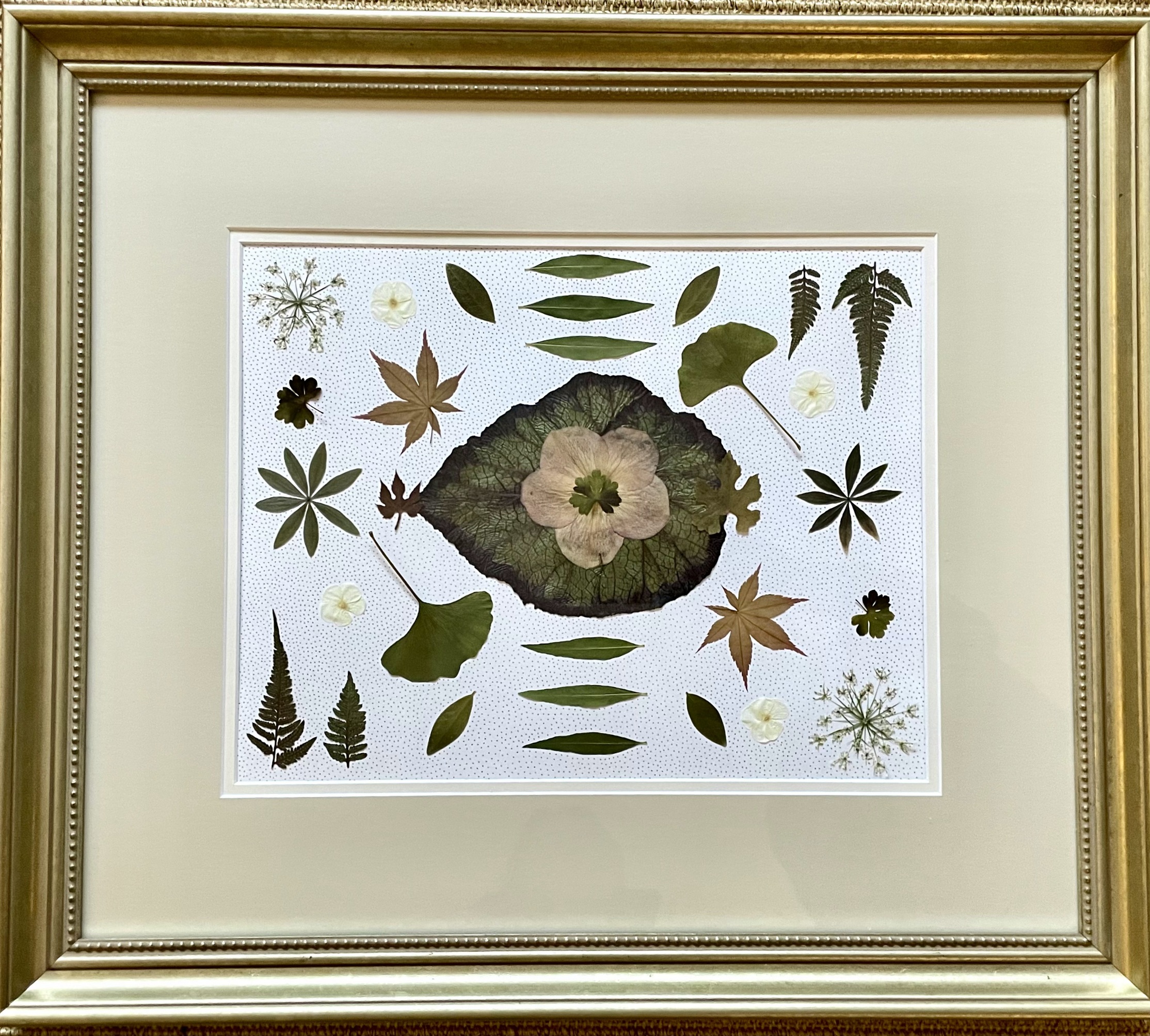 Marsan, Kellene: Begonia One