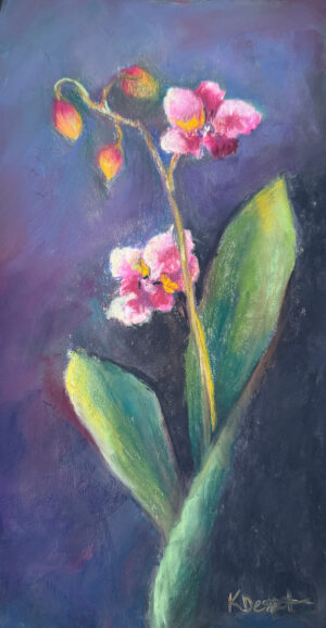 Despot, Katy: Little Orchids