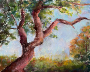 Despot, Katy: She Anchors The Backyard