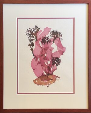 King, Stephanie: Beyond the Sea