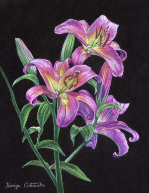 Ostrovska, Kseniya: Fragrant Red Lilies