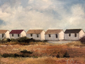 Skelskey Chapin, Lorraine: Truro Cottages