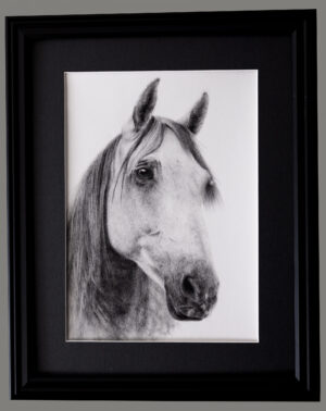 McIntyre, Sue: Nairobi