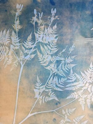 Evers, Madge: Making Friends With the Morning