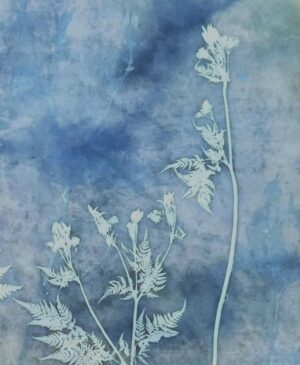 Evers, Madge: Making Friends With the Night