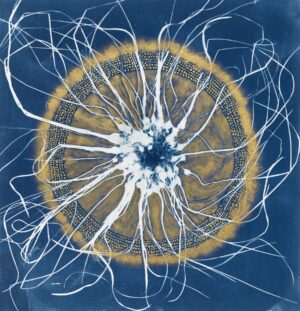 Evers, Madge: Equinox, Oak Spring, ii