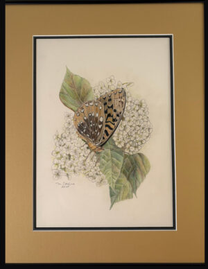 Comins, Marion: Great Spangled Fritillary