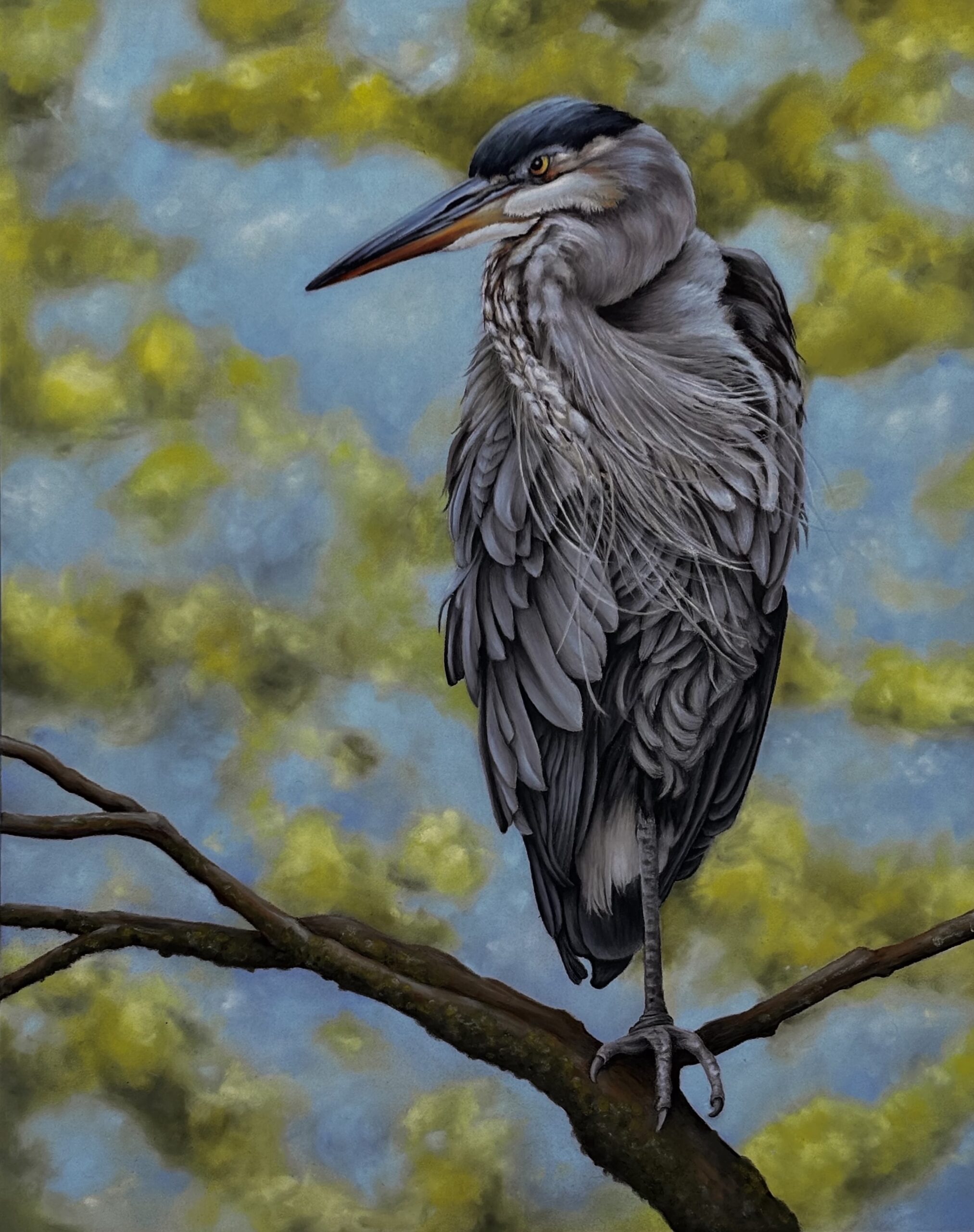 Marsan, Suzanne: Blue Heron Resting