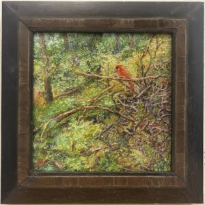 Meyer, Joan: Cardinal with a Grub