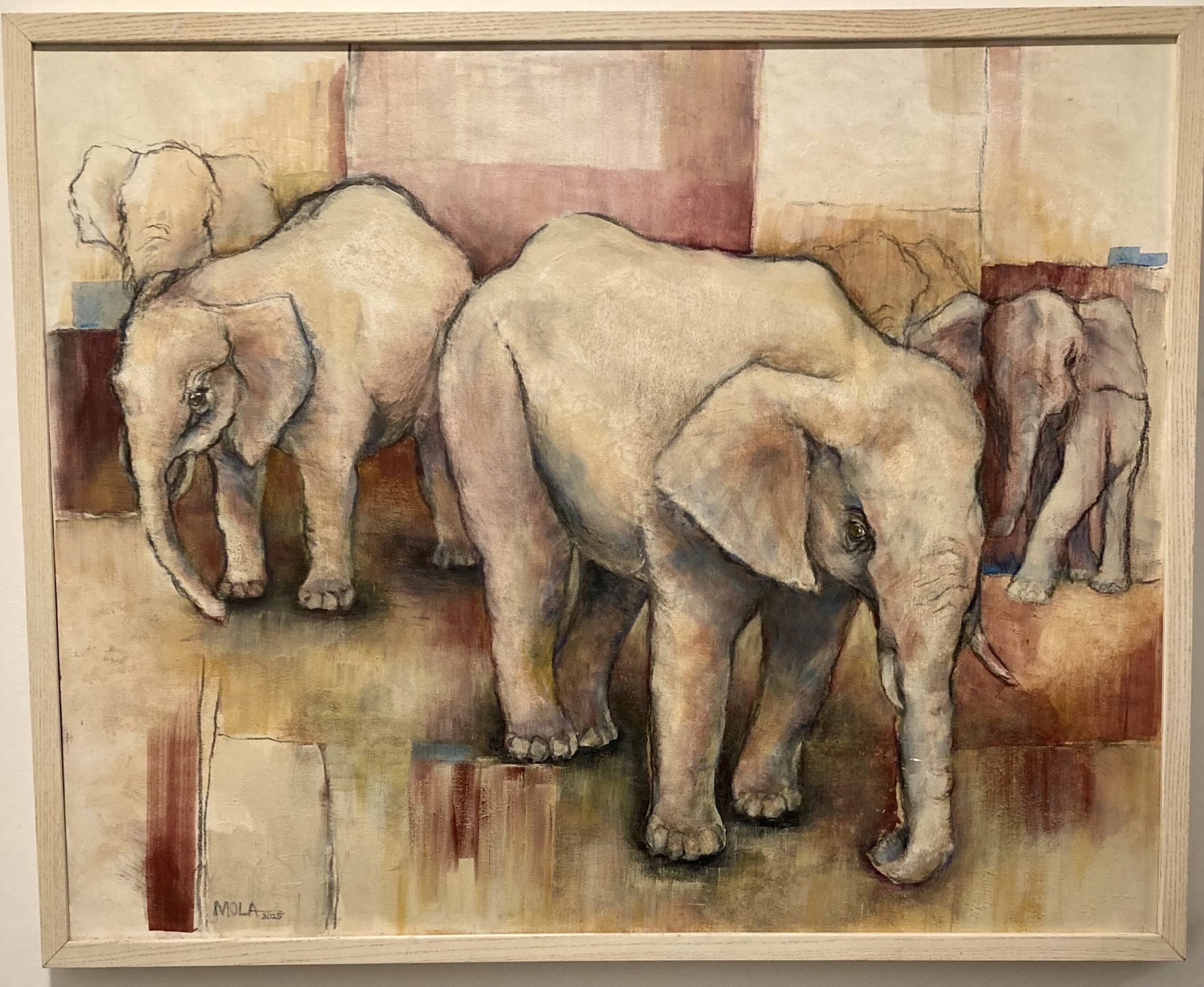 Mola, Noreen: Elephant Studies