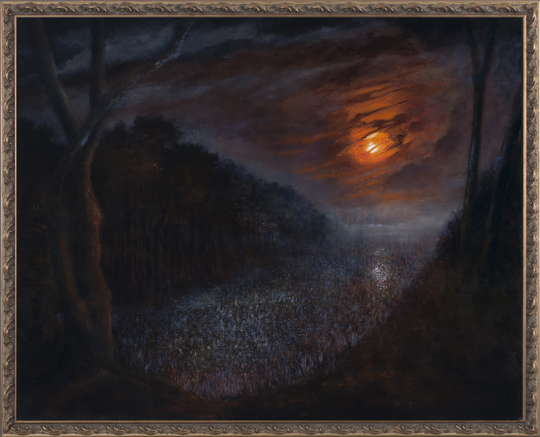 Lancaster, CLJ: Moon Over the Wetlands