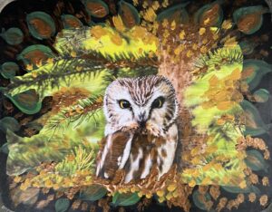 Smith, Alice: Northern Saw Whet Owl I