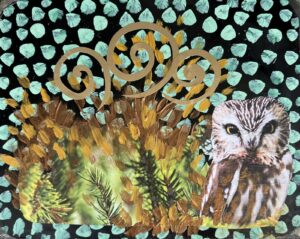 Smith, Alice: Northern Saw Whet Owl II