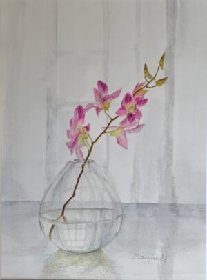 Daignault, Sandra: Orchid