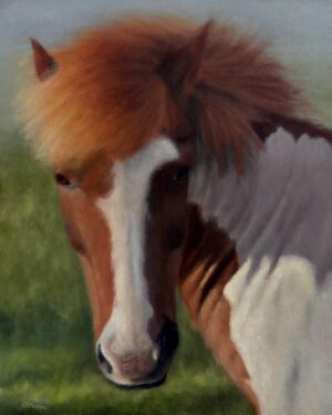 Phan, Quyen: Icelandic Horse