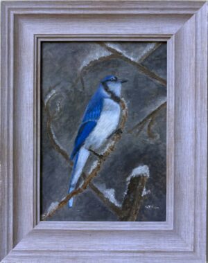 Phan, Quyen: Winter Blue Jay