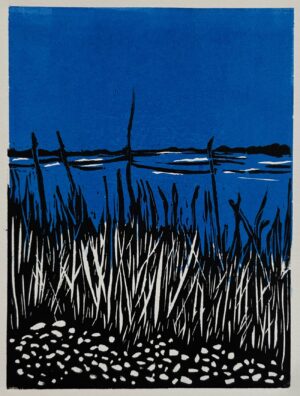 Ramsay, Shelly: Cockenoe (Night)