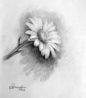 Waterbury-Kwashnak, ShawnaLee: Resting Flower