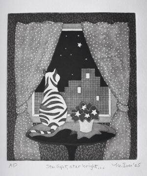 Ives, Martha: Star light, star bright